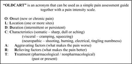 Qualitative And Quantitative Assessment Of Pain Chapter 11 Acute Pain Management Qualitative And Quantitative Assessment Of Pain Chapter 11 Acute Pain Management