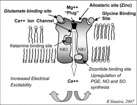 plugging hydromorphone