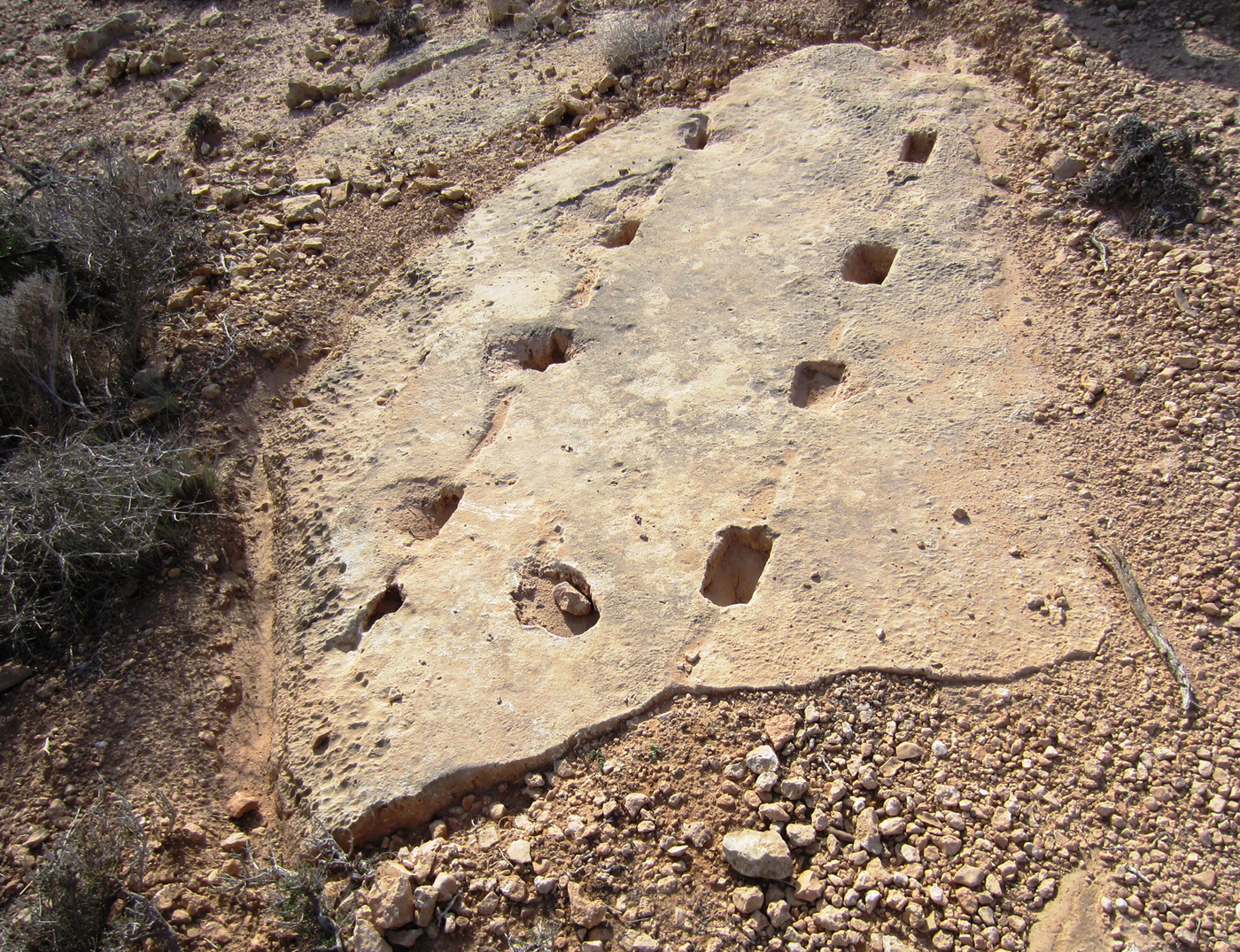 The Lepcitanian landscape across the ages: the survey between Ras el ...