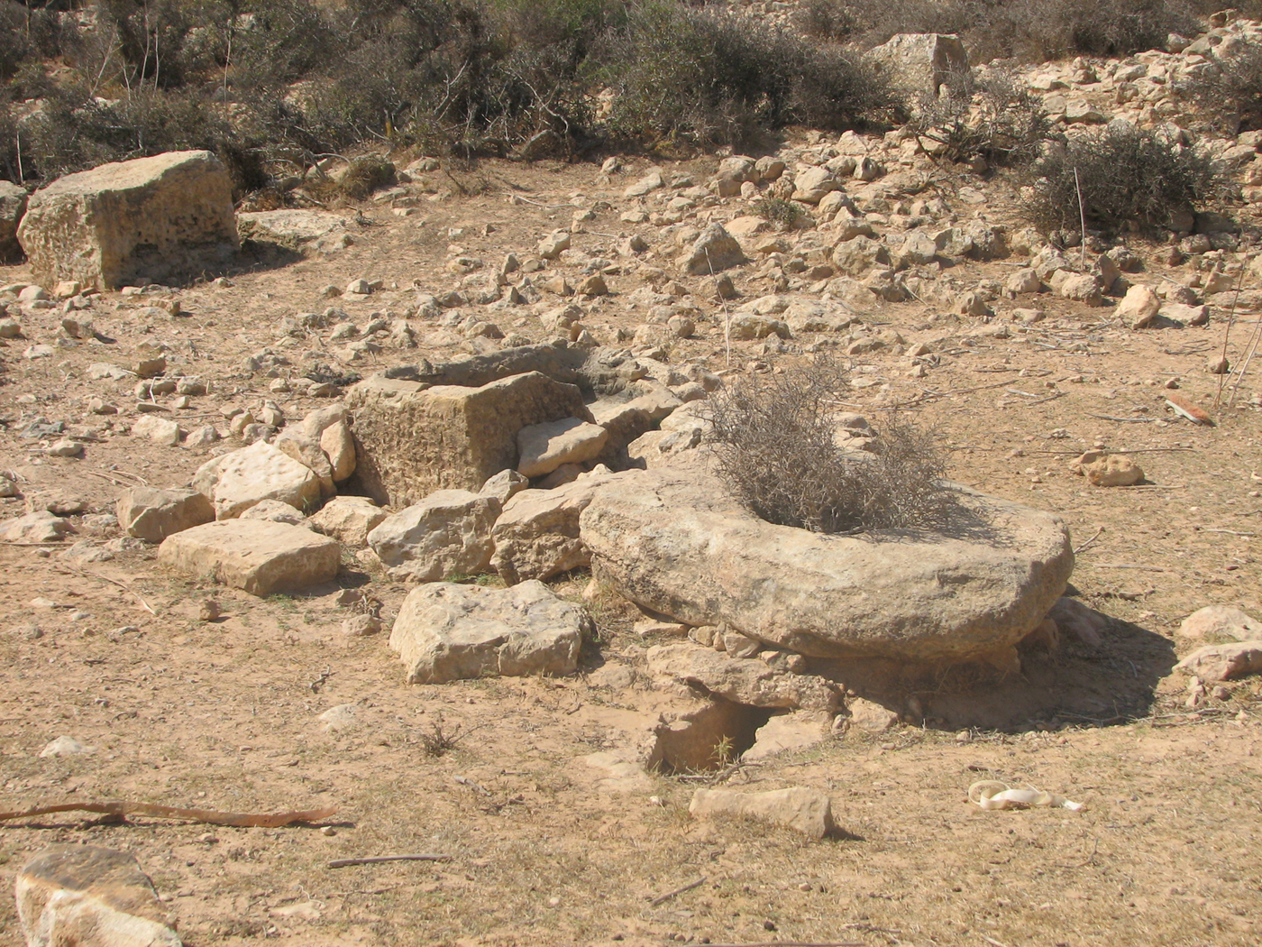 The Lepcitanian landscape across the ages: the survey between Ras el ...