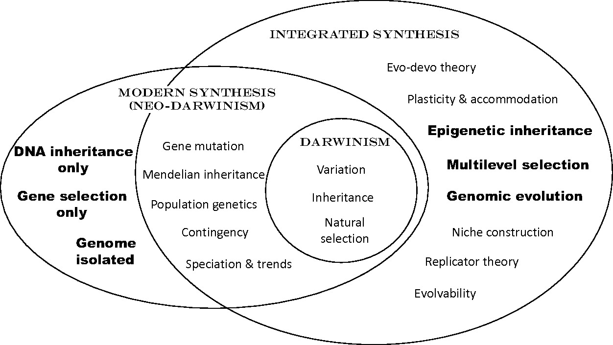 A síntese evolutiva estendida: um exame histórico e filosófico integrado