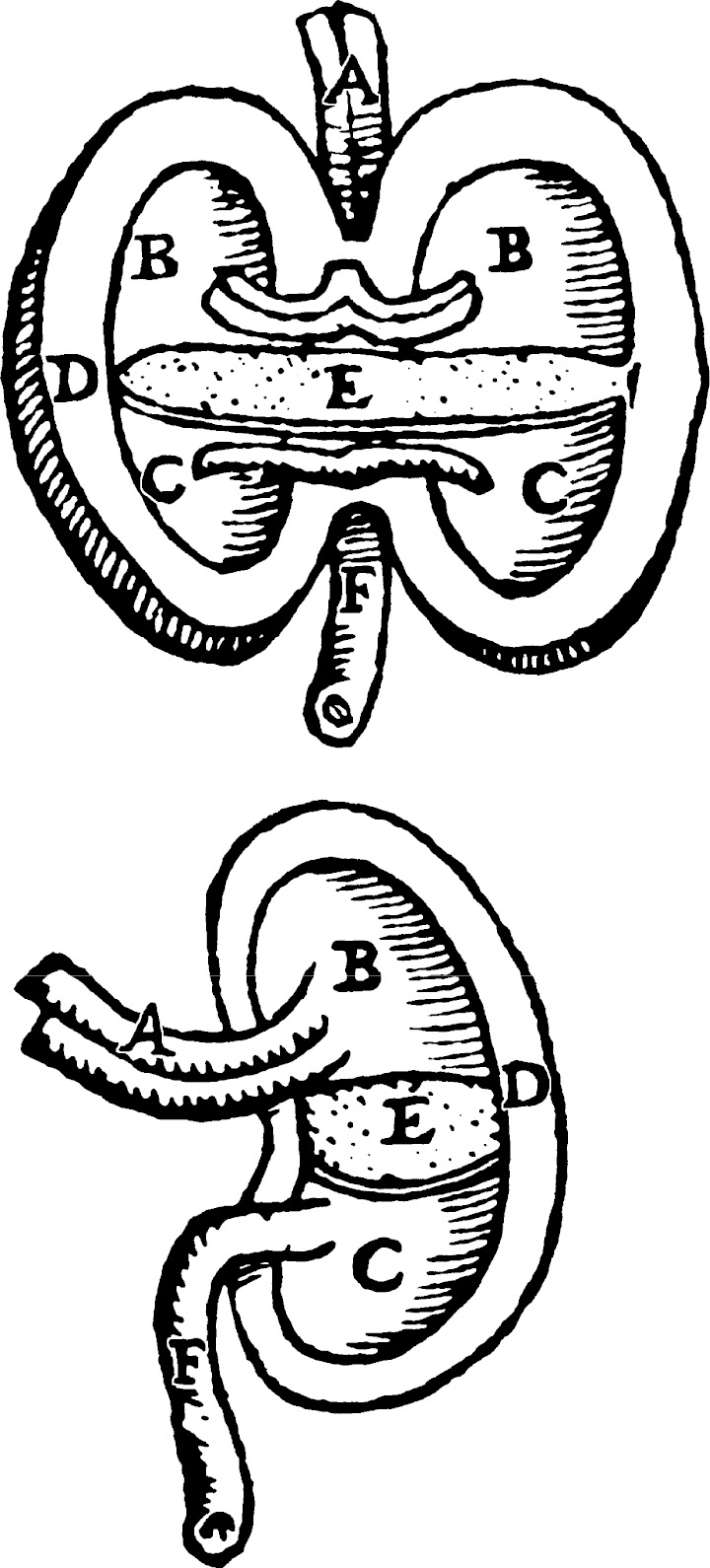 PDF) Gift Exchange at the Court of Cosimo I de' Medici, 1537-1574