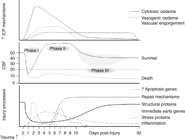 Neurointensive Care Section 4 Core Topics In Neuroanaesthesia And Neurointensive Care