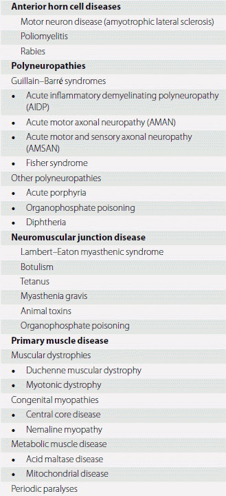 PPT Neuromuscular Junction Disorders PowerPoint