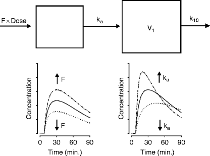 dihexa bbb permeability Effects of radiofrequency exposure on in vitro blood-brain barrier  permeability in the presence of magnetic nanoparticles