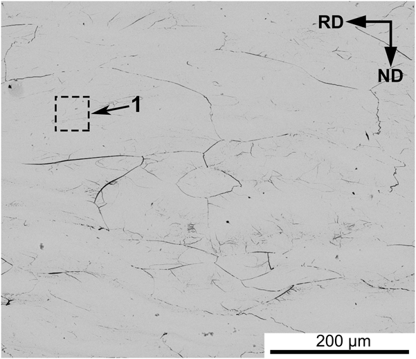Effects of cold rolling and subsequent annealing on the microstructure ...