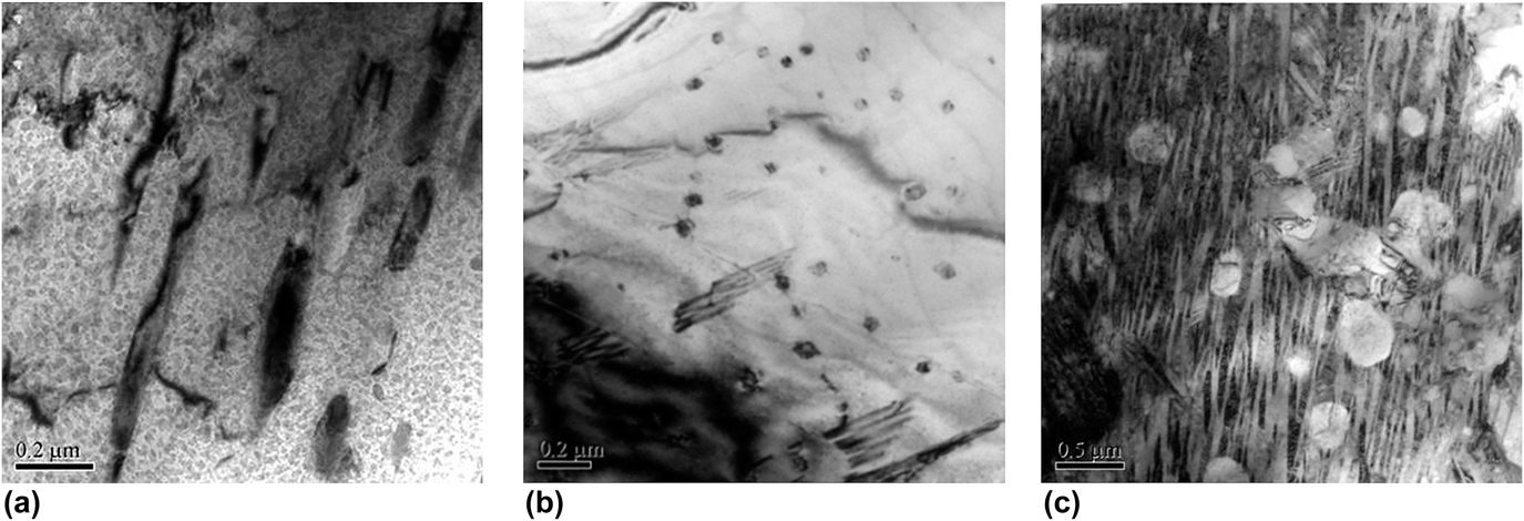 Section of a lotus-type porous copper ingot. Reproduced from [2], with