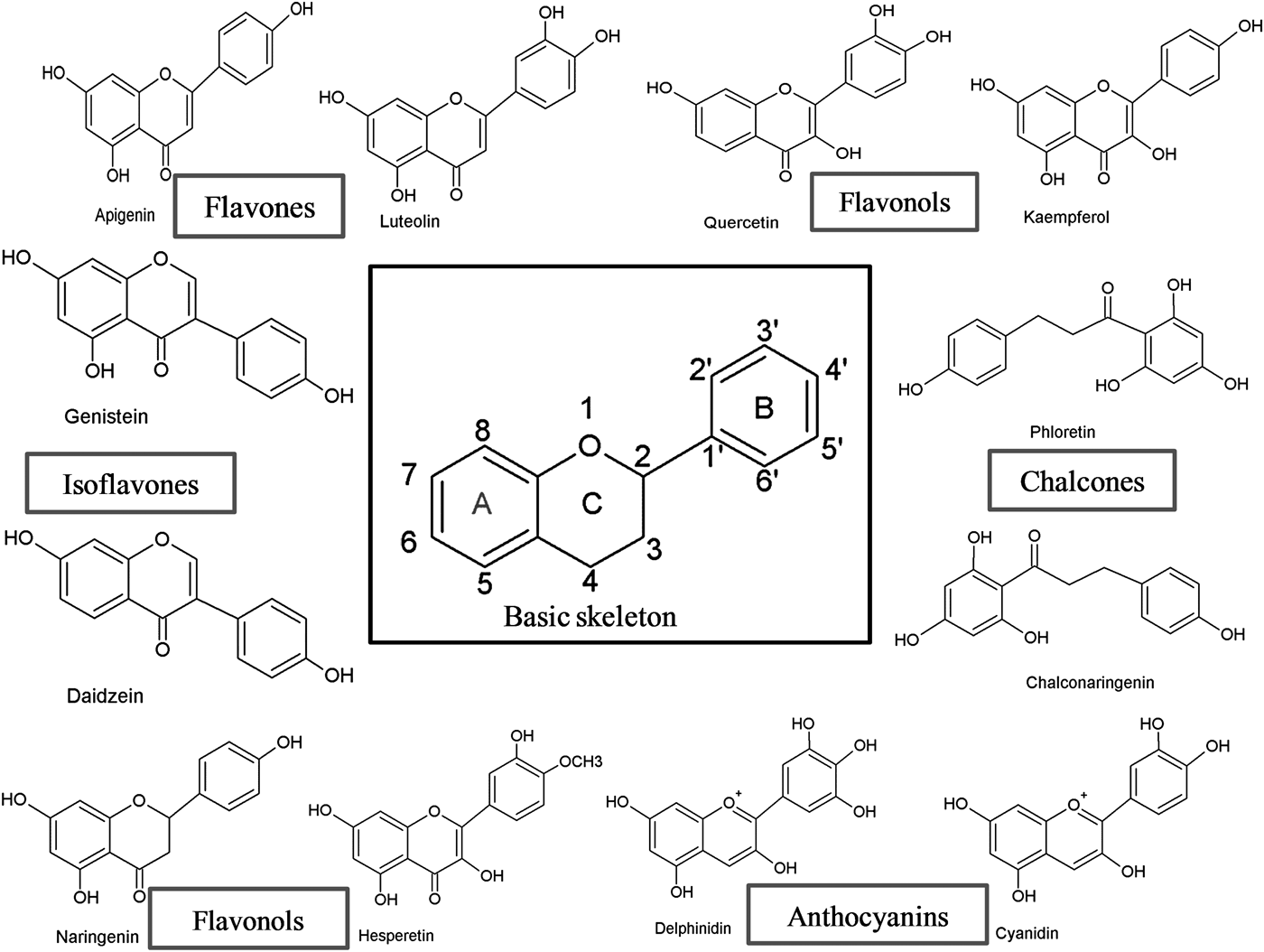 Flavonoids: An Overview | Journal Of Nutritional Science | Cambridge Core