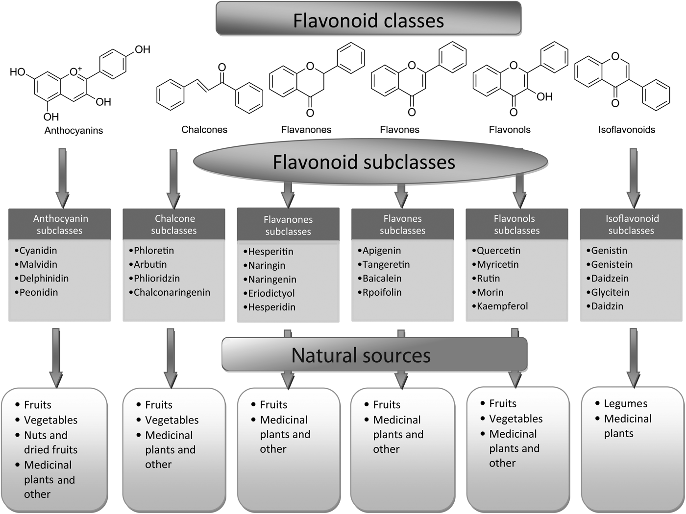 Flavonoids: An Overview | Journal Of Nutritional Science | Cambridge Core