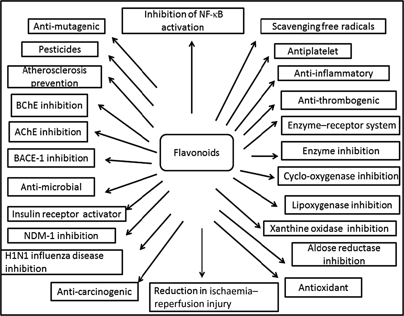 Flavonoids an overview Journal of Nutritional Science Cambridge Core