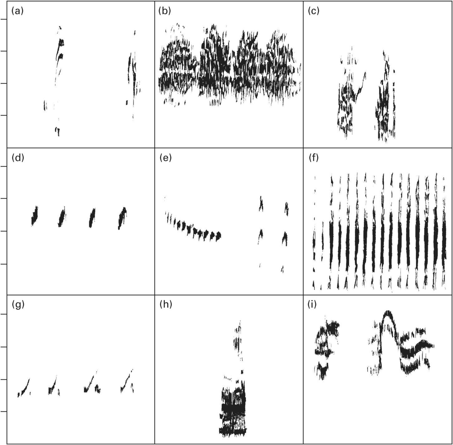 Form And Function In Vocal Communication Chapter 3 Animal Vocal Communication