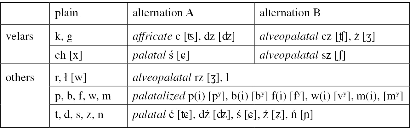 Conditions On Paradigms Chapter 5 Morphological Complexity