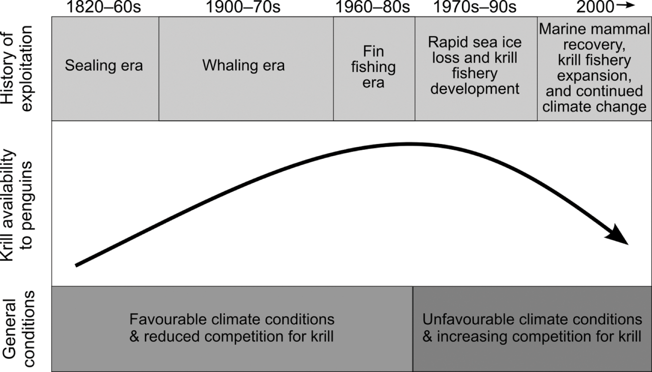 Long-term stability in the circumpolar foraging range of a Southern Ocean  predator between the eras of whaling and rapid climate change