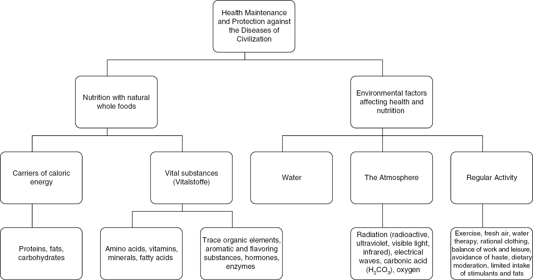 Whole Foods Org Chart