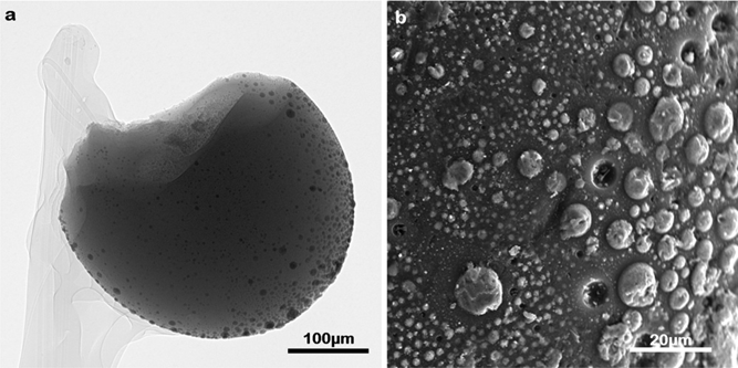 Moon Dust Micrographs