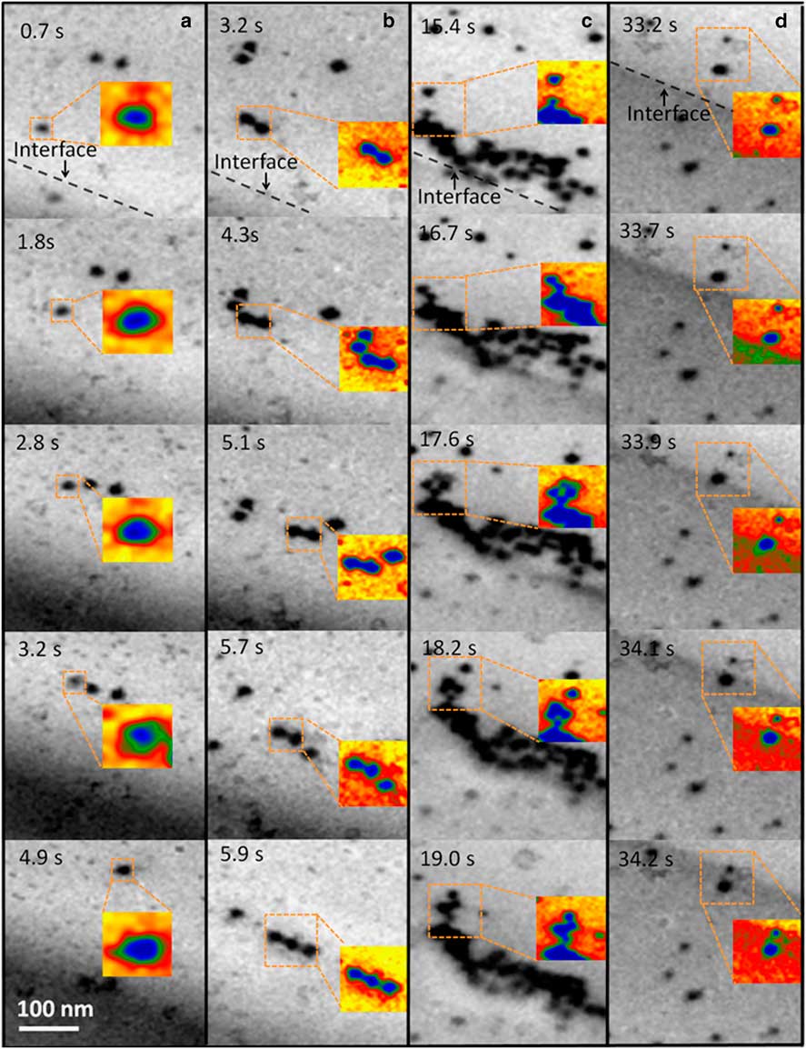 In Situ Cryogenic Transmission Electron Microscopy For Characterizing ...