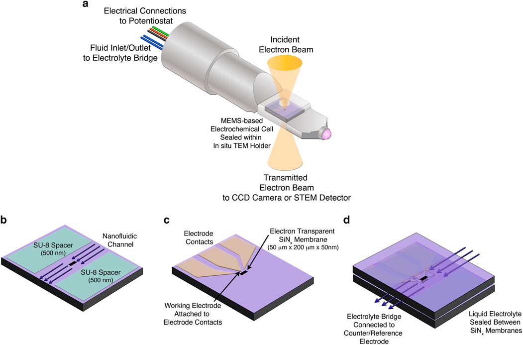 Direct Visualization Of Solid Electrolyte Interphase Formation In Lithium Ion Batteries With In 4843