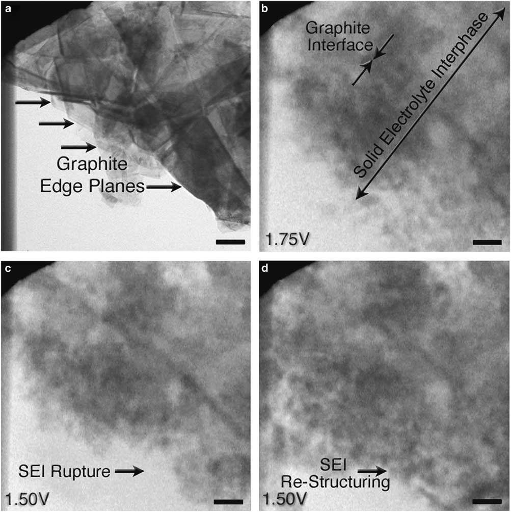 Direct Visualization Of Solid Electrolyte Interphase Formation In ...