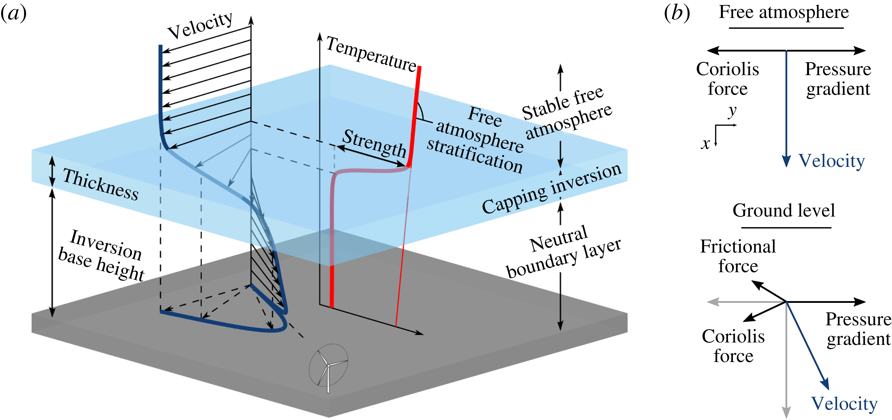 Boundarylayer development and gravity waves in conventionally neutral