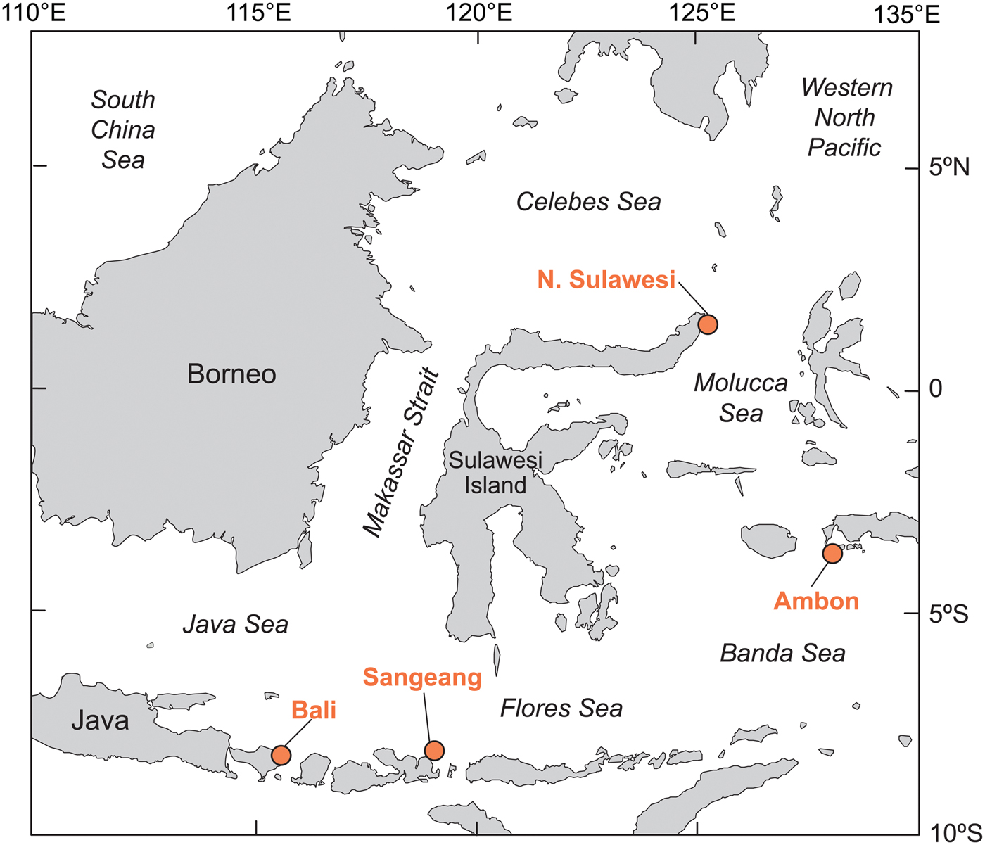 Observations of large muraenid leptocephali in coastal Indonesia ...