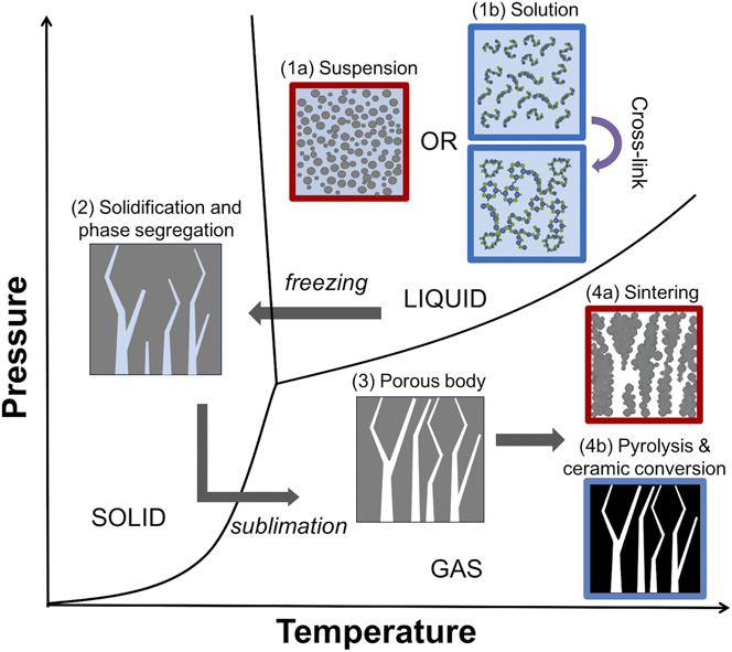 Suspension and solutionbased freeze casting for porous ceramics