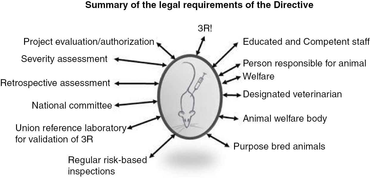 Regulation and Legislation: Overview and Background (Chapter 5) - Animal  Ethics in Animal Research