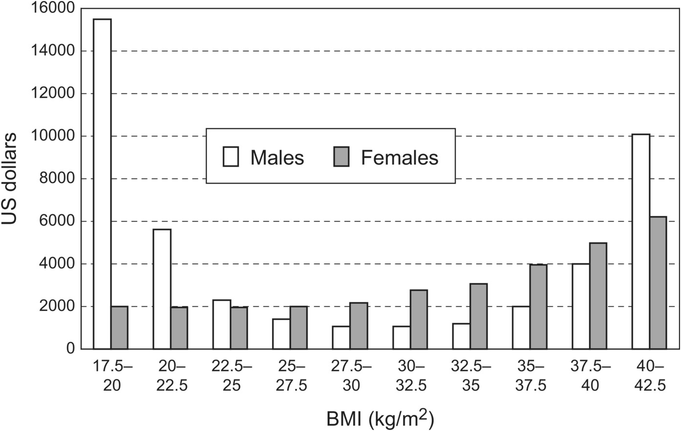 Governance Through Measurement Chapter 4 Models Of Obesity