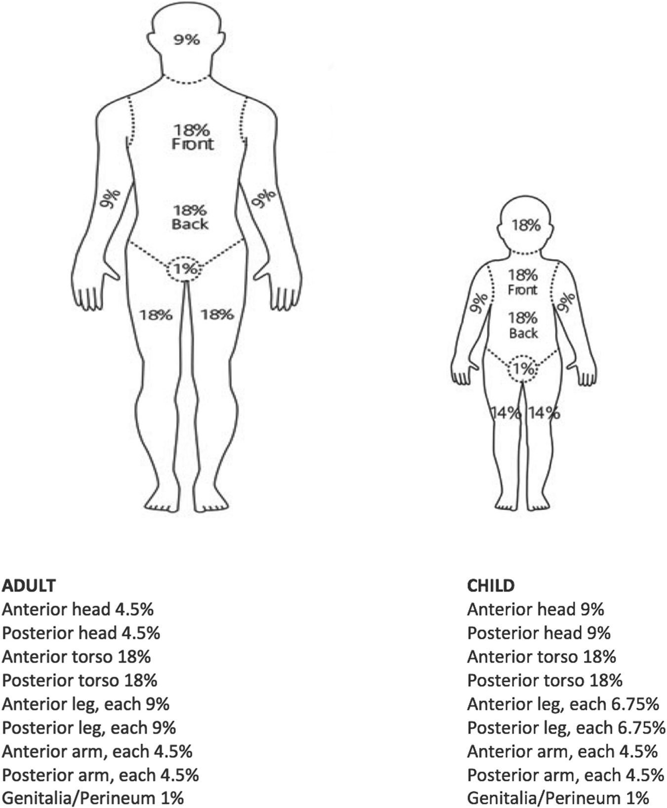 Body Part Injury Chart