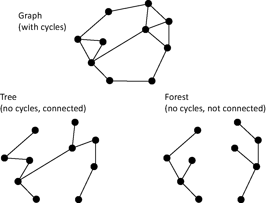 Shapes of Graphs: Trees to Triangles (Chapter 2) - Applying Graph Theory in  Ecological Research