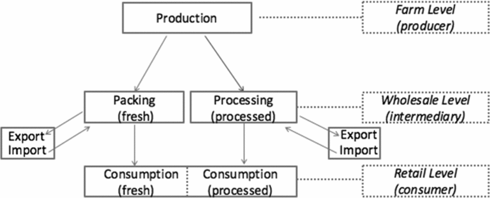 ECONOMIC CONSEQUENCES FOR TREE FRUIT INTERMEDIARIES FROM SHOCKS ...