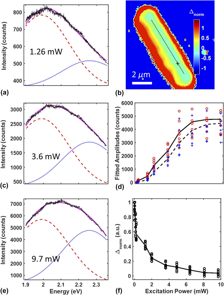 surface induced effects in gan nanowires clipart