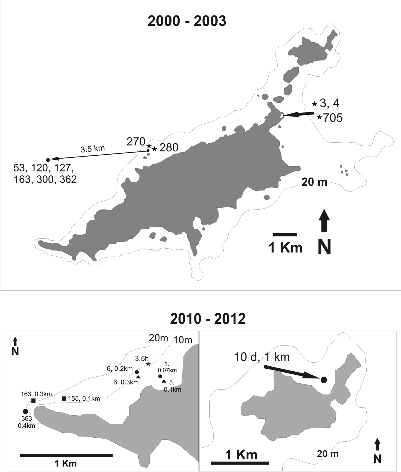 Population structure of nurse sharks, Ginglymostoma cirratum  (Orectolobiformes), caught off Ceará State, Brazil, south-western  Equatorial Atlantic, Journal of the Marine Biological Association of the  United Kingdom