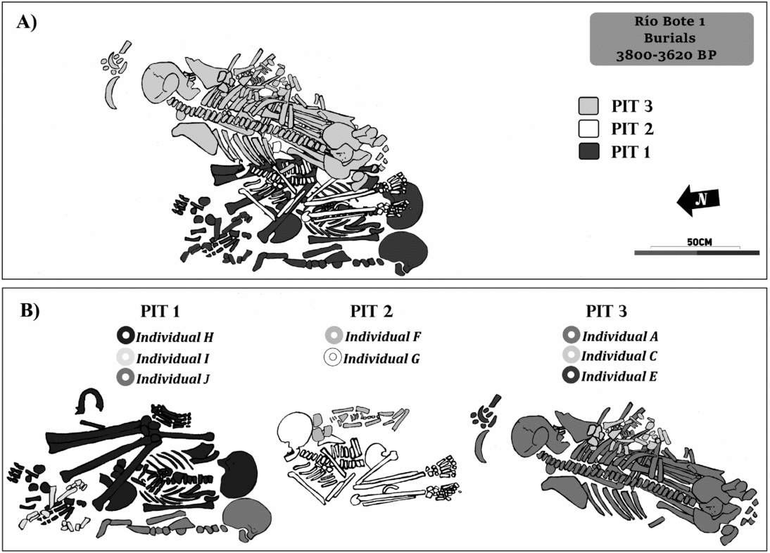 REUSE OF BURIAL SITES DURING THE LATE HOLOCENE: EVIDENCE FROM MULTIPLE  HUMAN BURIALS AT THE RÍO BOTE 1 ROCKSHELTER, UPPER SANTA CRUZ RIVER BASIN  (SOUTHERN PATAGONIA, ARGENTINA) | Latin American Antiquity | Cambridge Core