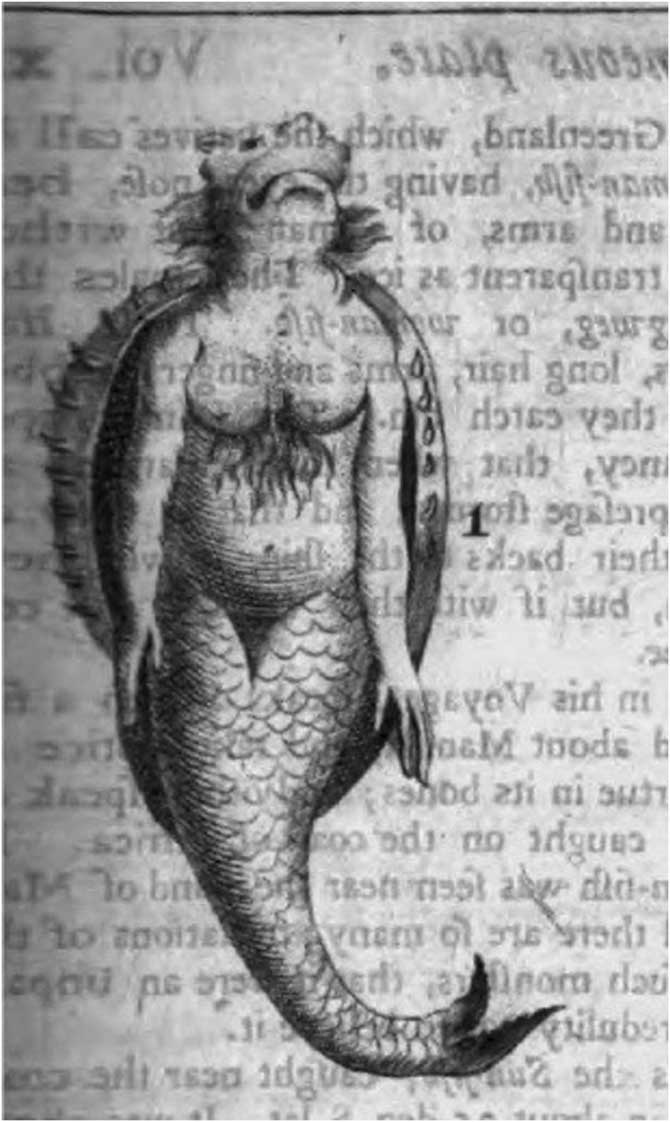Such Monsters Do Exist in Nature”: Mermaids, Tritons, and the