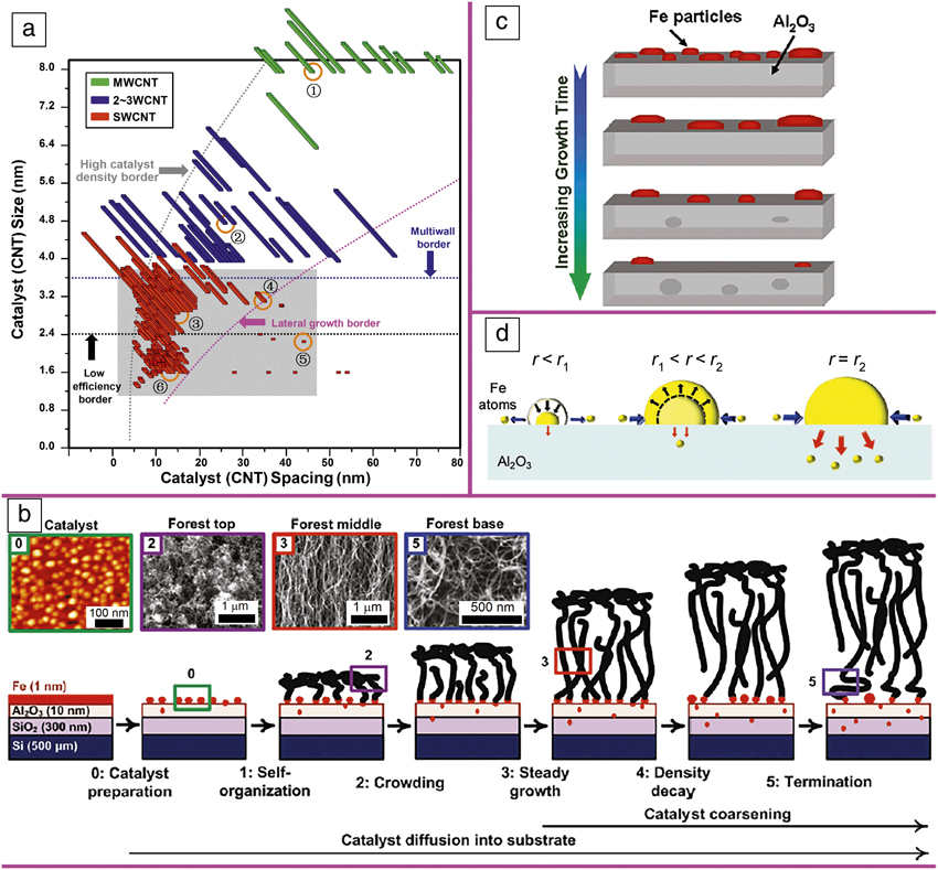 Catalysts for the growth of carbon nanotube “forests” and