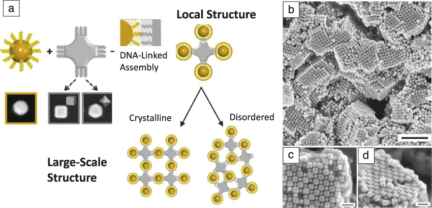 three dimensional molecular and nanoparticle crystallization by dna nanotechnology mrs bulletin cambridge core