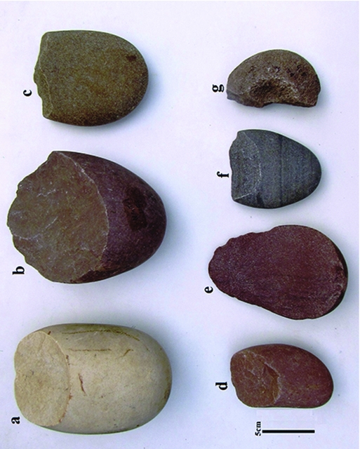 On the Late Pliocene stone tools of the Quranwala Zone, north-west  sub-Himalayas, India, Antiquity