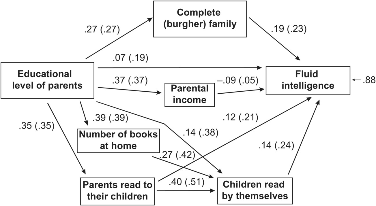 Human Capital Cognitive Ability And Intelligence Chapter 3 Cognitive Capitalism