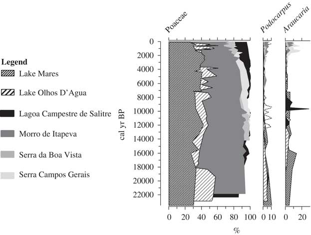 The collapse of megafaunal populations in southeastern Brazil, Quaternary  Research