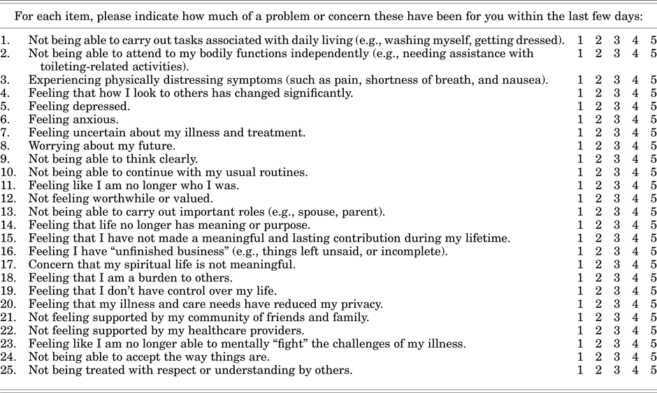 The Patient Dignity Inventory Just another evaluation tool