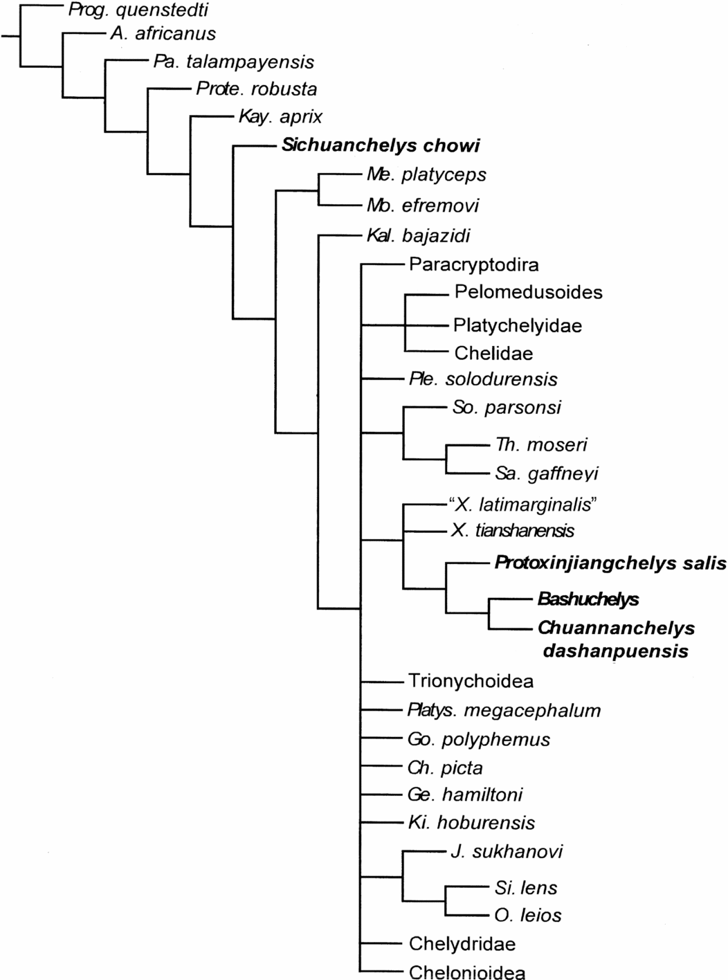 Phylogenetic origin of the turtle plastron and hypoischium