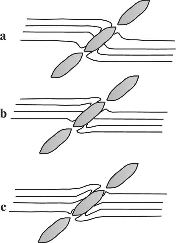 Application Example 3: Deformation Around a Heterogeneity—Flanking  Structures