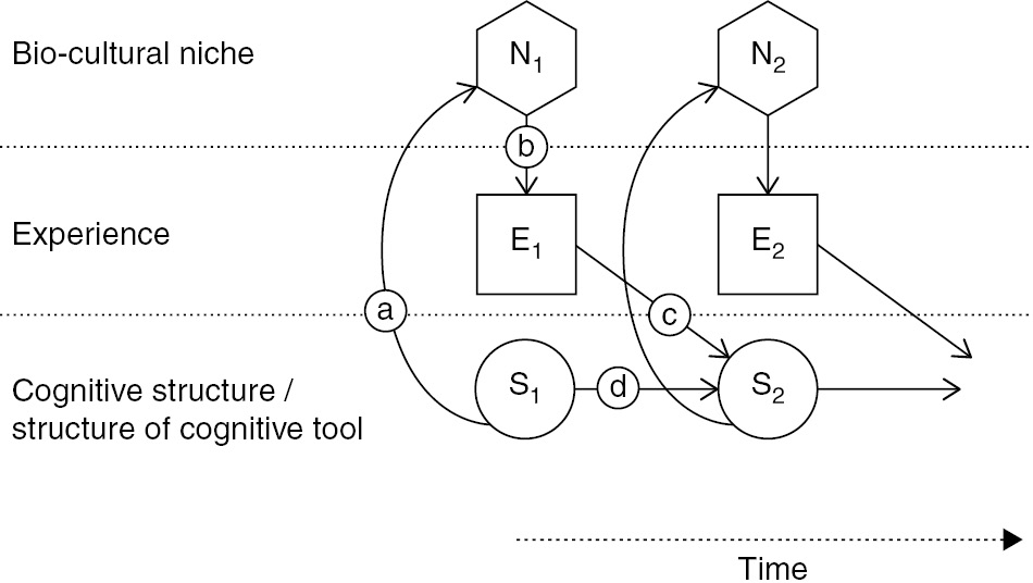 Constructivist theories The Cambridge Encyclopedia of Child