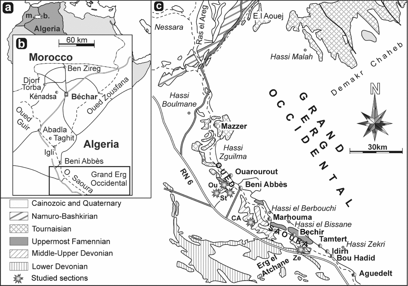 Famennian Rhynchonellides Brachiopoda From Deep Water Facies Of The Ougarta Basin Saoura Valley Algeria Geological Magazine Cambridge Core