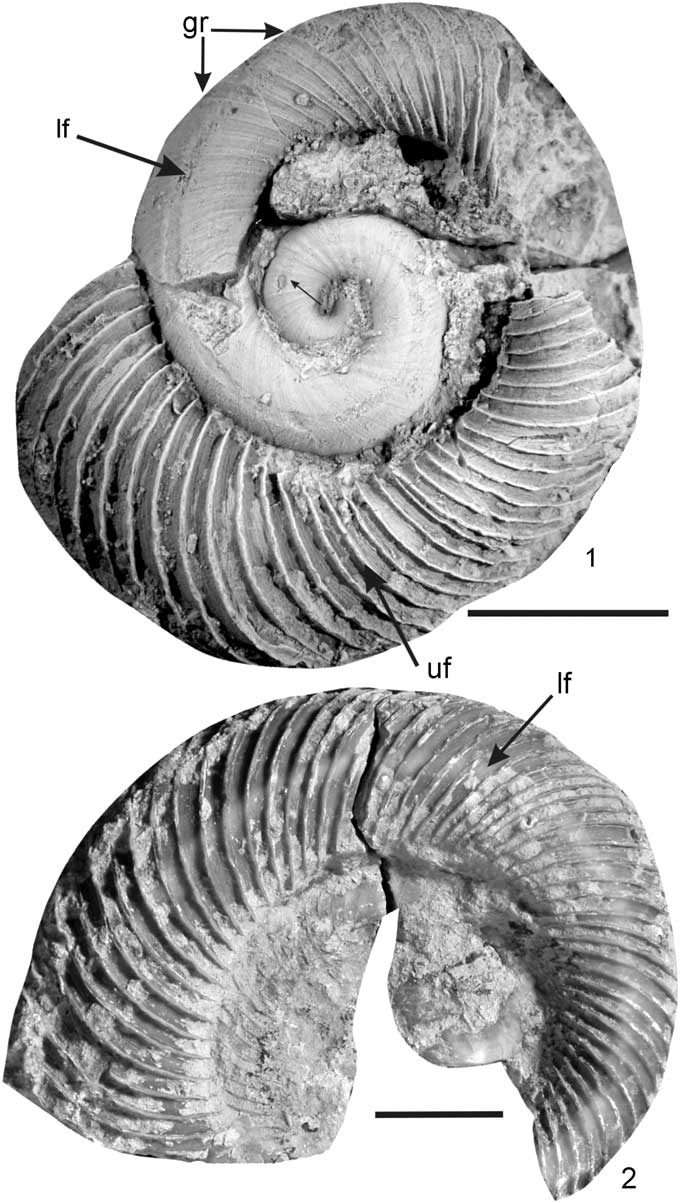 GREATBRITAINISSUESSTERNMESSAGETOEGYI, image size:680x1203