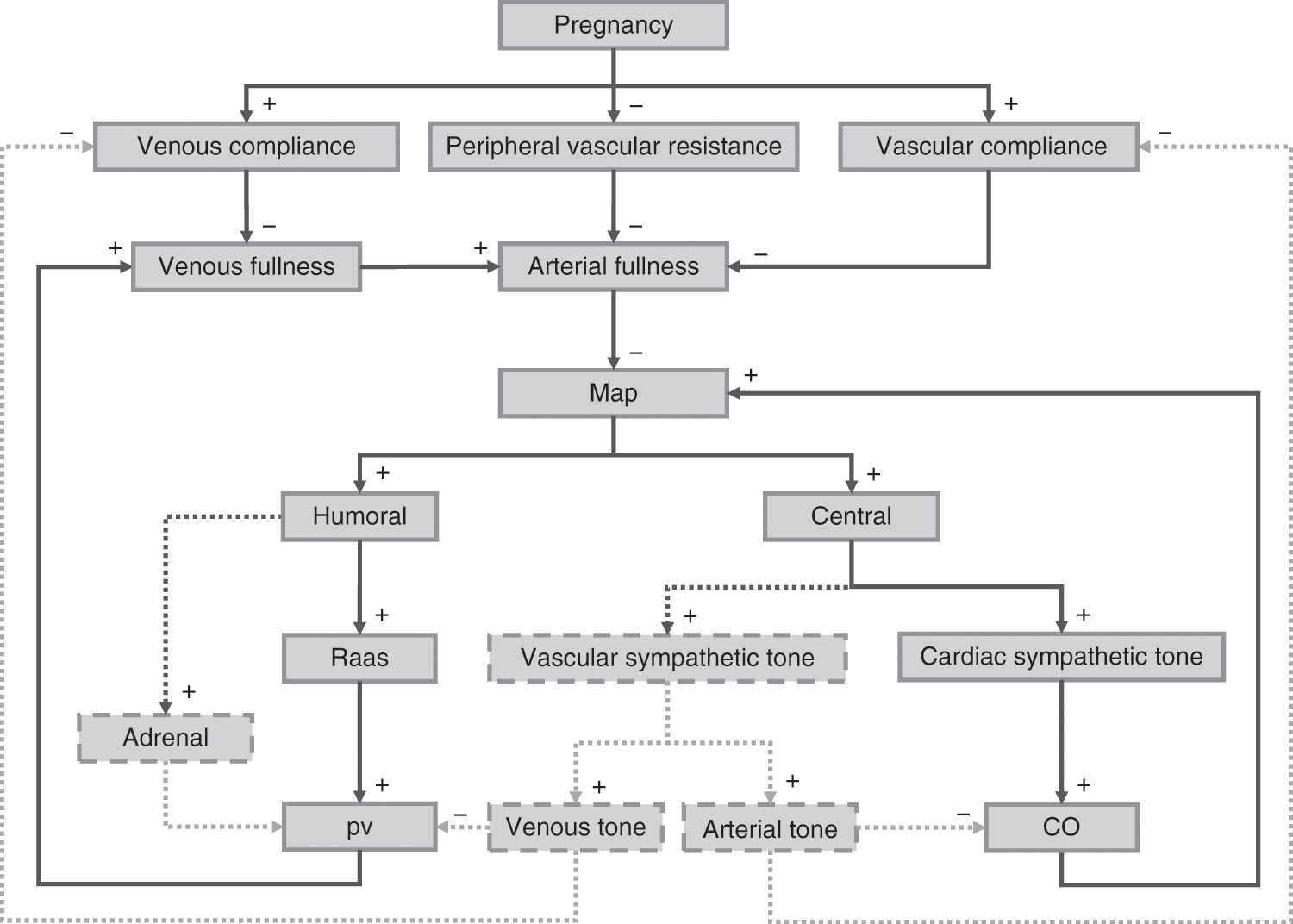 Plasma Volume Changes in Pregnancy (Chapter 6) - Maternal Hemodynamics