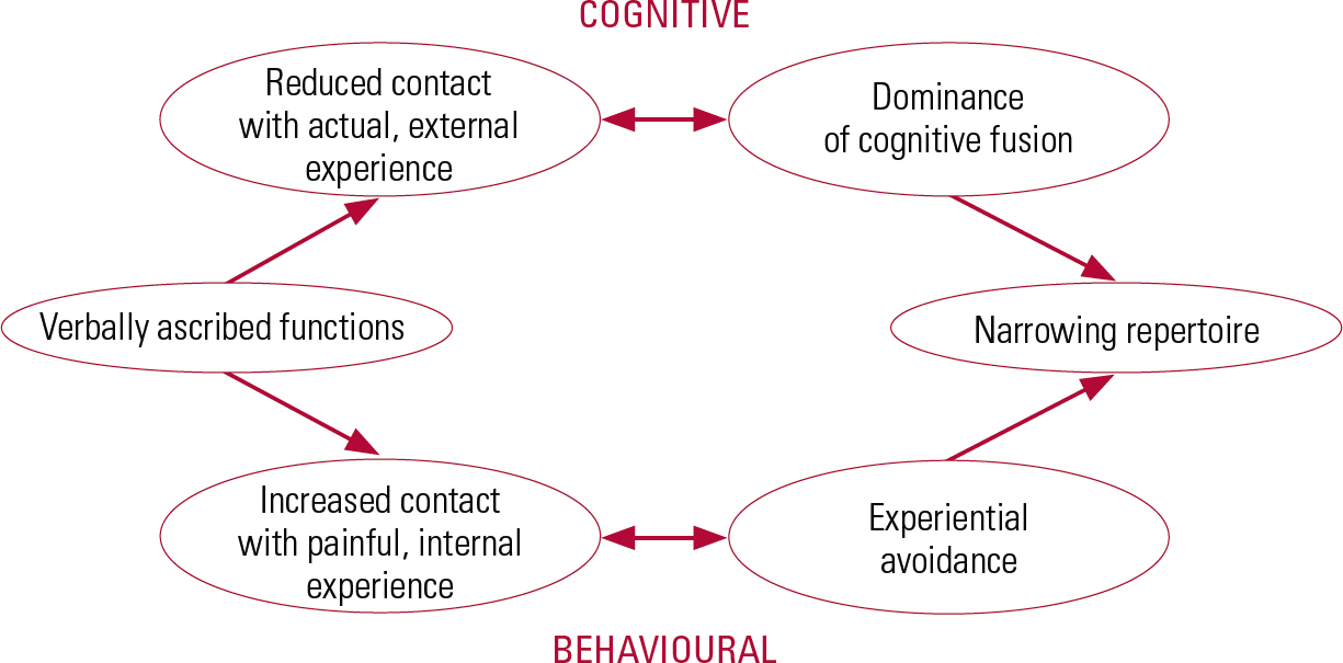 Introduction To Acceptance And Commitment Therapy 