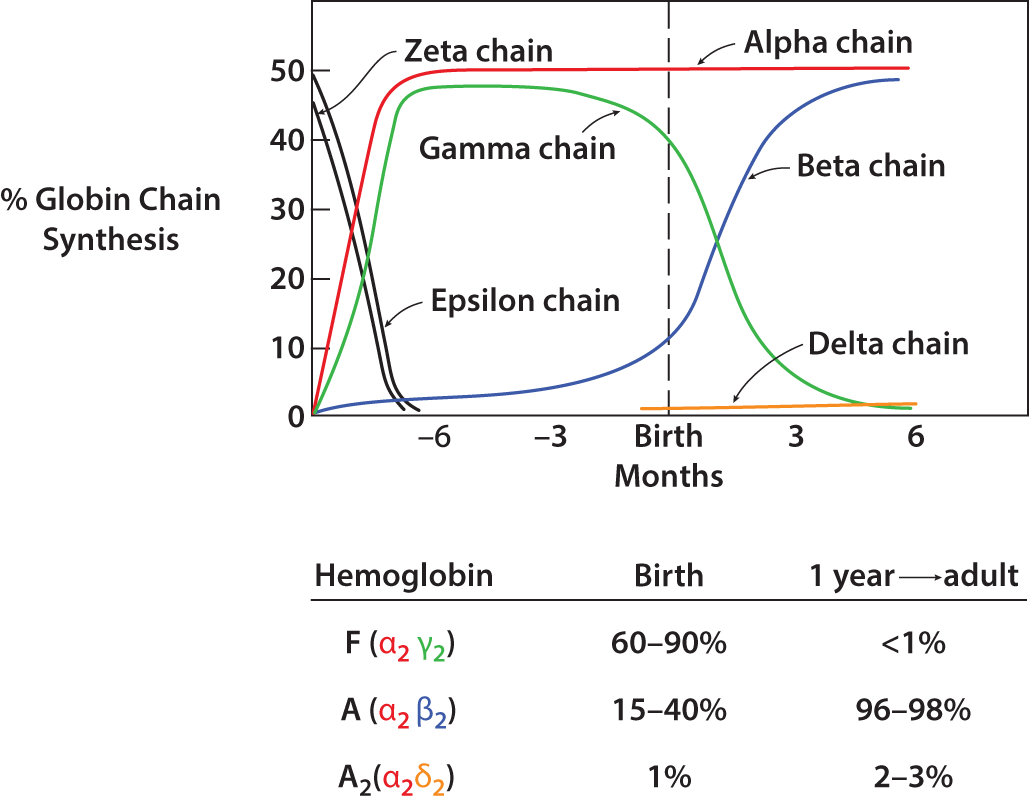 Anemia In Children Chapter 5 Anemia