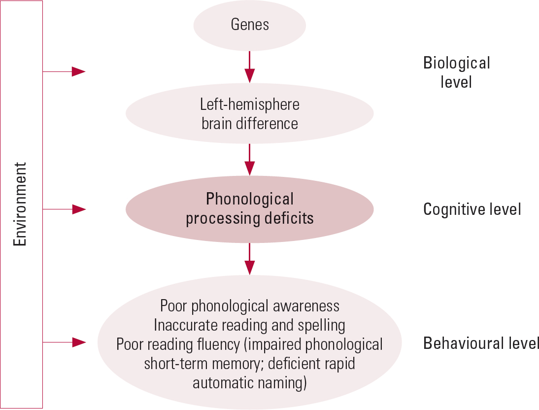 Developmental Dyslexia: An Overview | Advances In Psychiatric Treatment ...