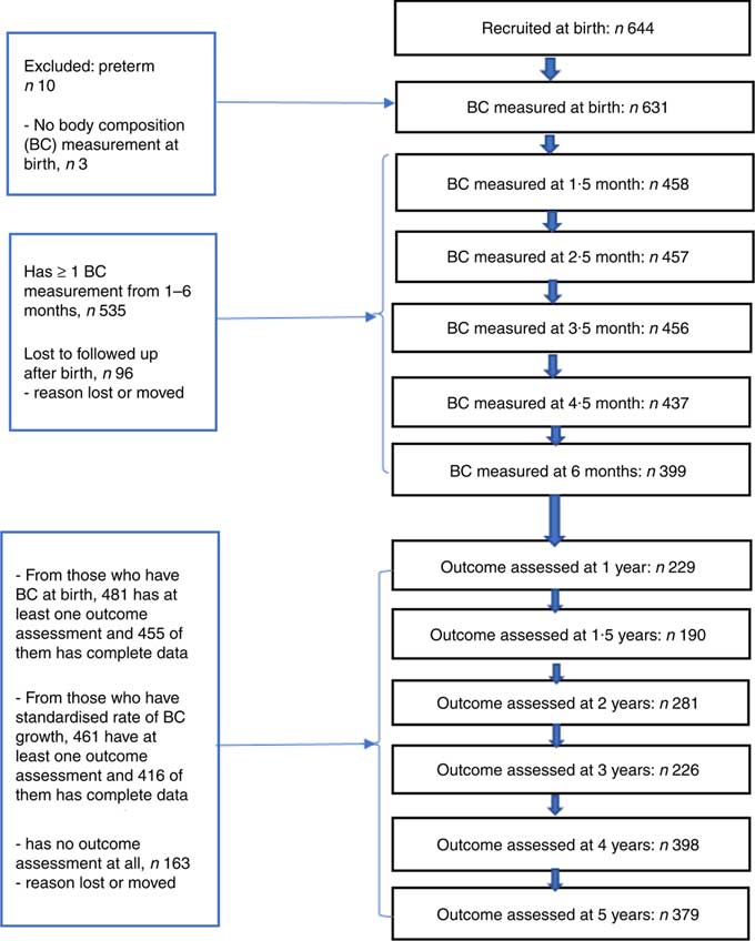 Body Composition During Early Infancy And Developmental